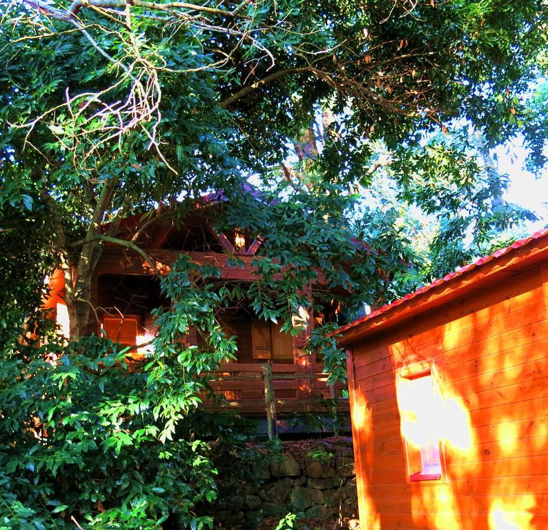 Complejo Rural Huerta Grande Casa rural *