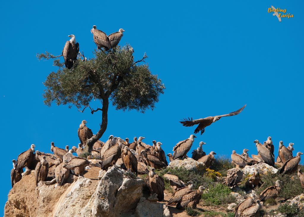 Complejo Rural Huerta Grande Algeciras